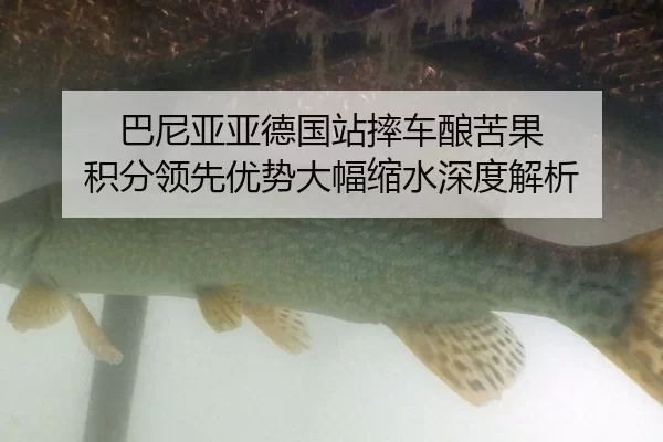 巴尼亚亚德国站摔车酿苦果 积分领先优势大幅缩水深度解析